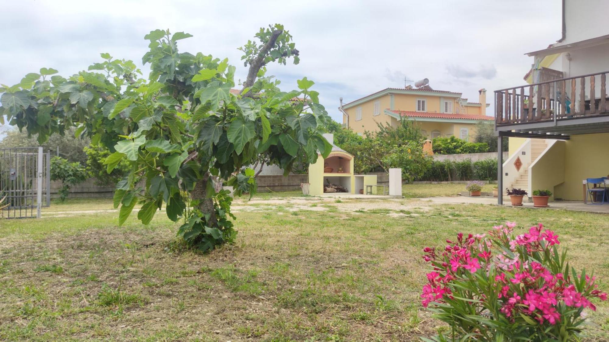 Casa Su Rimediu Villa โอโรเซย ภายนอก รูปภาพ